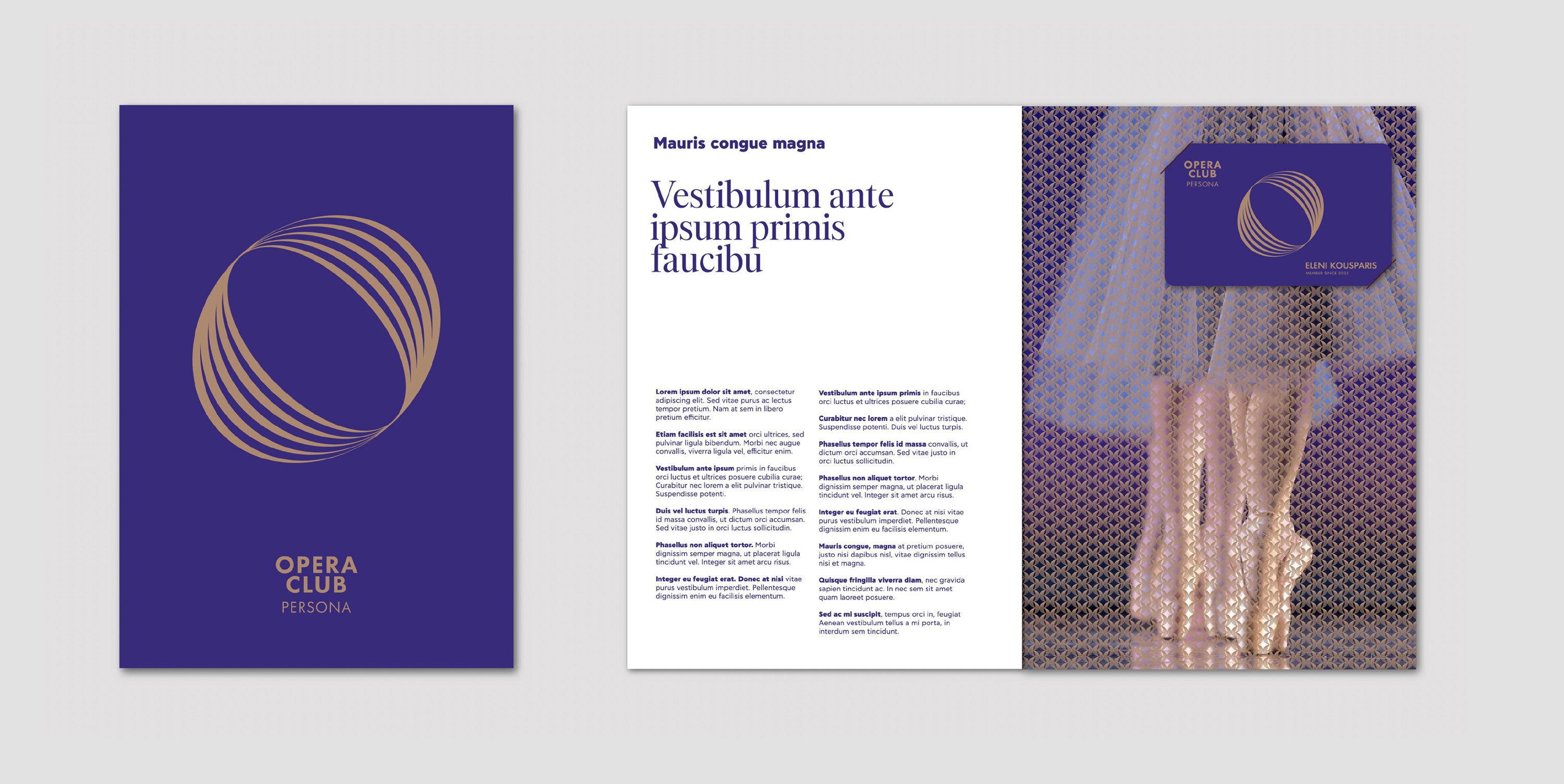 Dimitra Chrona Greek National Opera schema design Greek National Opera Visual identity Membership Programme 10